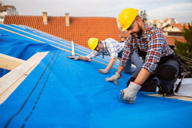 Quick and Trustworthy Emergency Roof Repair Services in Platte, SD